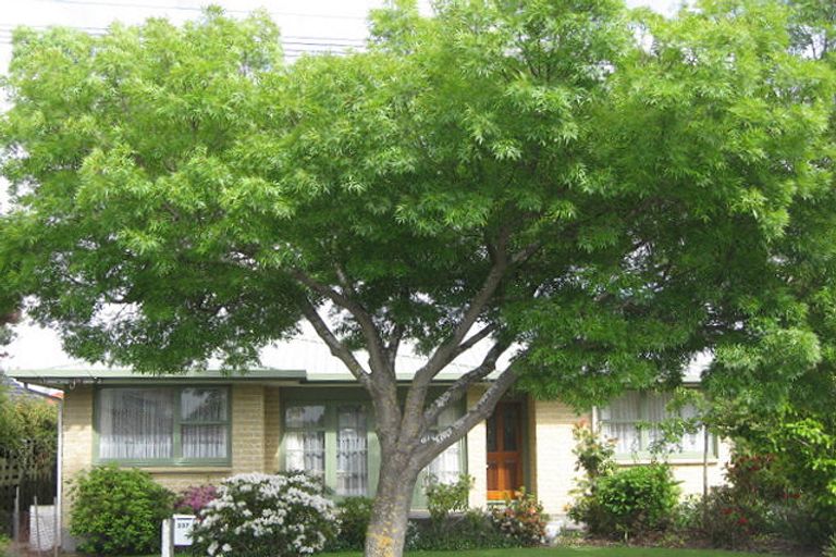 Photo of property in 237 Grimseys Road, Redwood, Christchurch, 8051