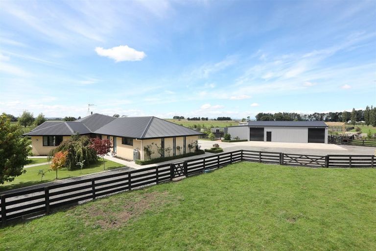 Photo of property in 255 Calico Line, Marton, 4787