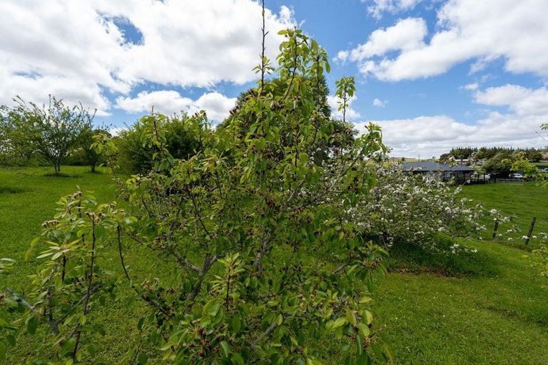 Photo of property in 33 Signal Road, Okaihau, 0475