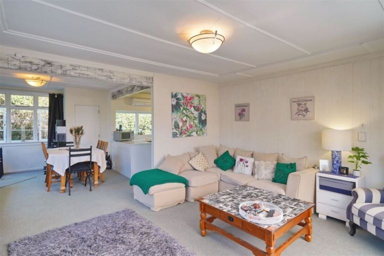 Photo of property in 41 Batten Grove, The Pines Beach, 7630