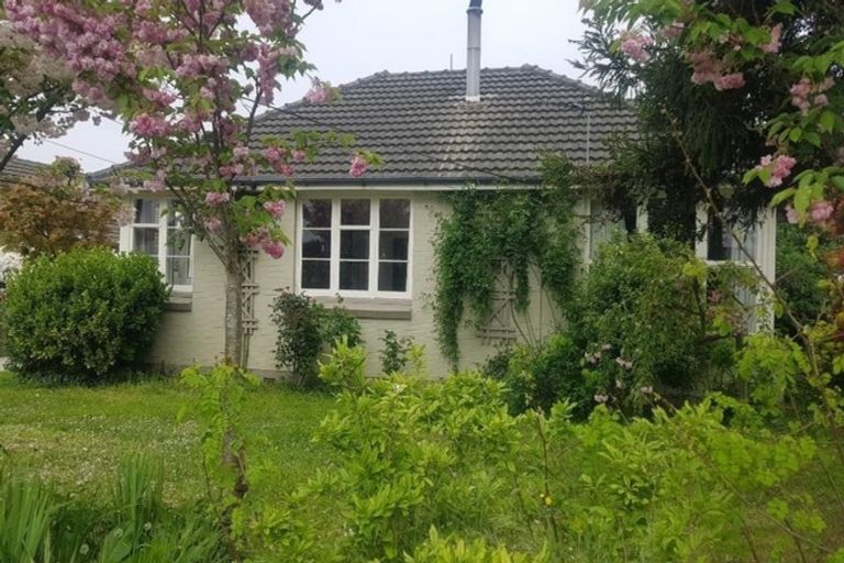 Photo of property in 43 Joy Street, Shirley, Christchurch, 8061