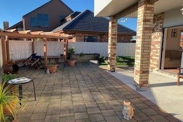 Photo of property in 19a Vine Avenue, Maungatapu, Tauranga, 3112