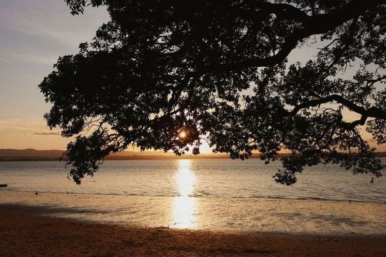 Photo of property in 16 Joan Street, Point Chevalier, Auckland, 1022