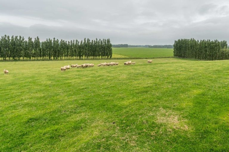 Photo of property in 444a O'shannessy Road, Lochiel, Winton, 9781