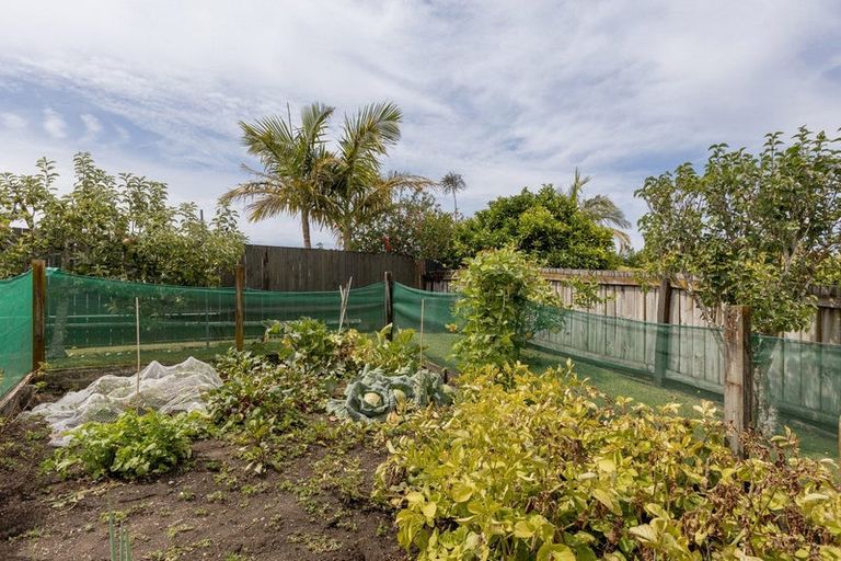 Photo of property in 17 Glenfield Place, Brookfield, Tauranga, 3110