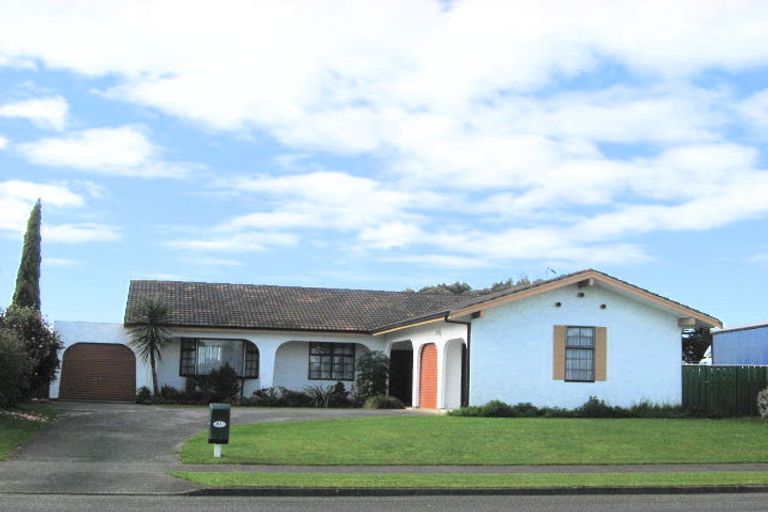 Photo of property in 81 Kennedy Drive, Levin, 5510