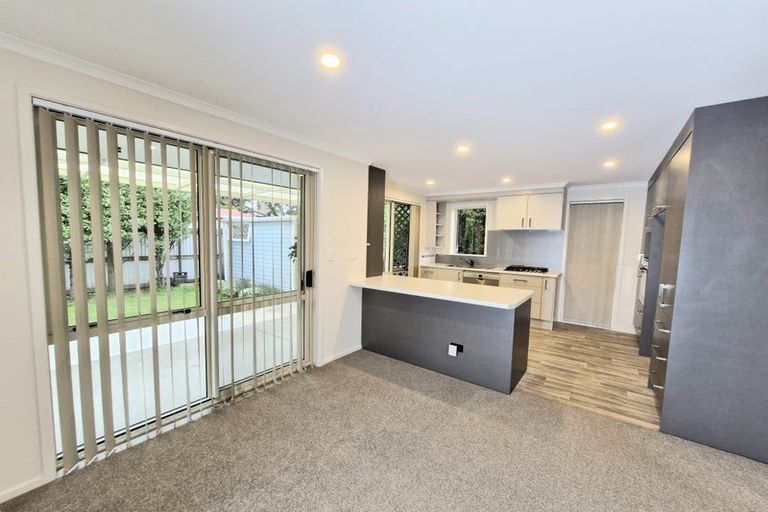 Photo of property in 217b Maungatapu Road, Maungatapu, Tauranga, 3112