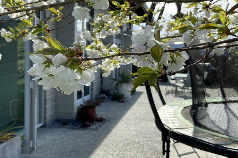 Photo of property in 7 Allison Crescent, Kaiapoi, 7630