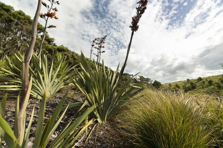 Photo of property in 54b Harambee Road, Taiharuru, Parua Bay, 0192