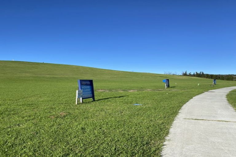 Photo of property in 31 Sycamore Drive, Sunnynook, Auckland, 0620