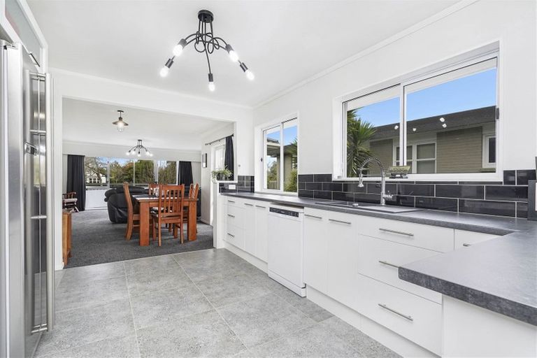 Photo of property in 14 Riverview Terrace, Fairfield, Hamilton, 3214