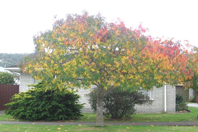 Photo of property in 1/157 Taita Drive, Avalon, Lower Hutt, 5011