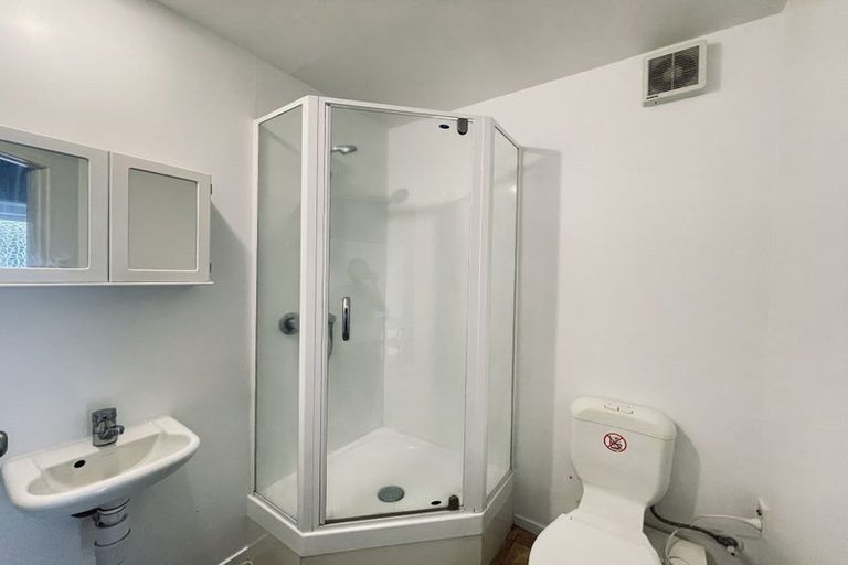 Photo of property in 12 Wellington Street, Hamilton East, Hamilton, 3216