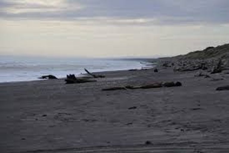 Photo of property in 46 Nuku Street, Tangimoana, 4822