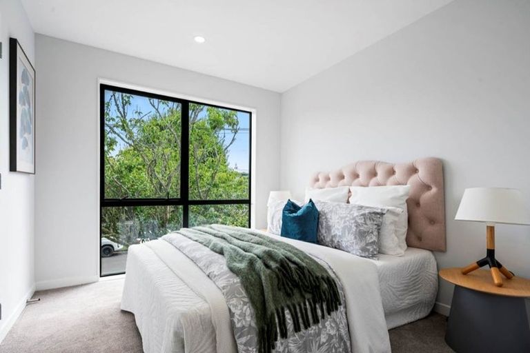 Photo of property in 56b Ellerton Road, Mount Eden, Auckland, 1024