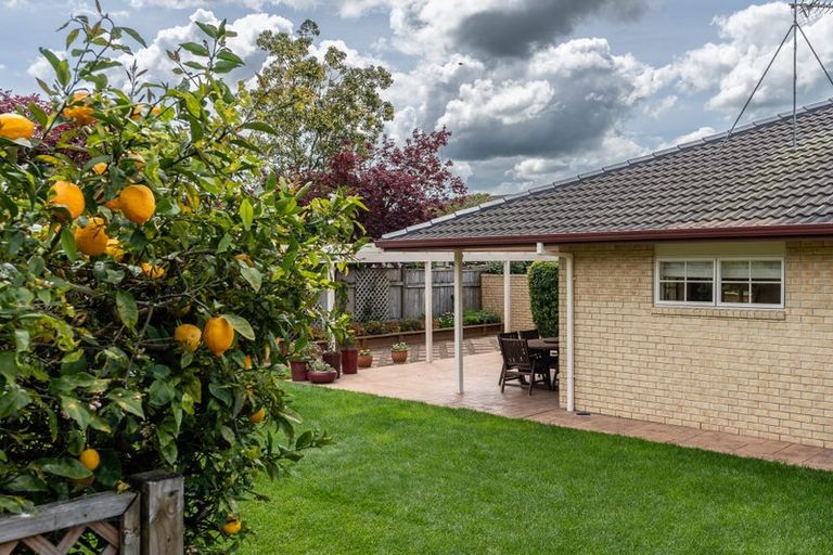 Photo of property in 21 Heritage Avenue, Chartwell, Hamilton, 3210