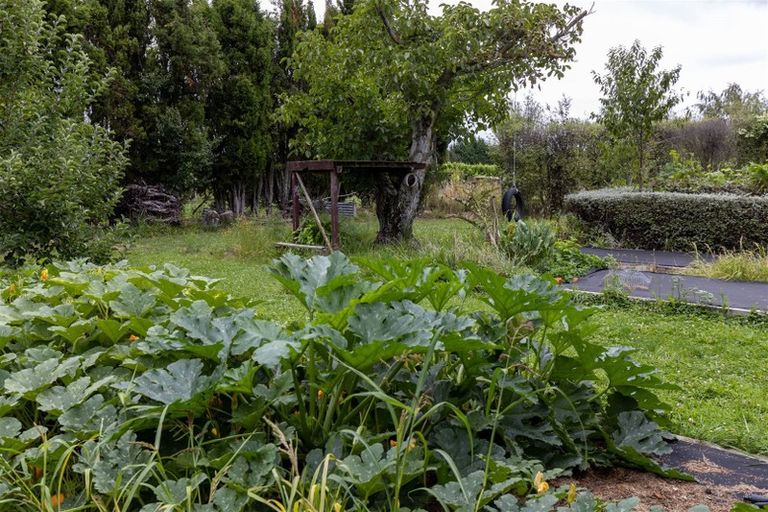 Photo of property in 83 Vickerman Street, Grovetown, Blenheim, 7202