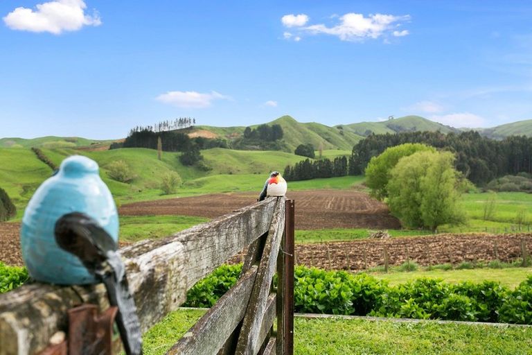 Photo of property in 45 Ellicott Road, Rotoorangi, Te Awamutu, 3879