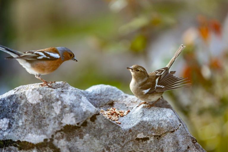 Photo of property in 49 Bay Vista Drive, Pohara, Takaka, 7183