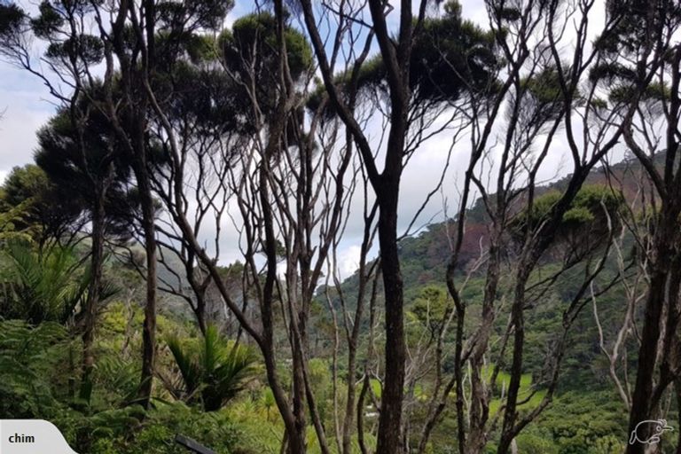 Photo of property in 77 Karekare Road, Karekare, Auckland, 0772