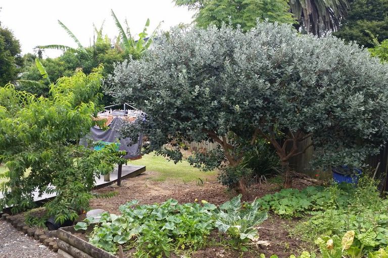 Photo of property in 4a Grigg Street, Kaitaia, 0410