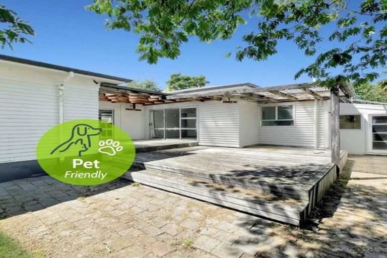 Photo of property in 111 Albert Street, Hamilton East, Hamilton, 3216