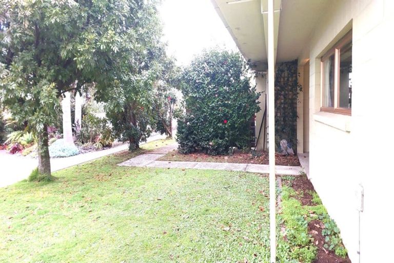 Photo of property in 7c Sixth Avenue, Tauranga, 3110