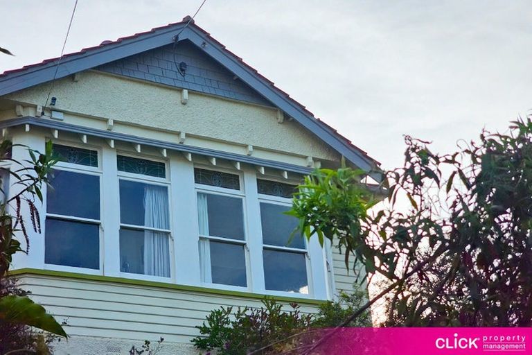 Photo of property in 48 Brown Street, Dunedin Central, Dunedin, 9016