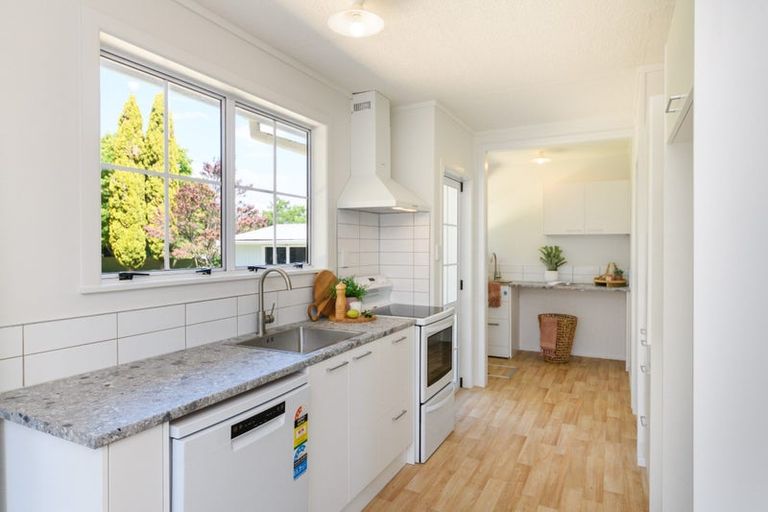 Photo of property in 194 Salisbury Street, Ashhurst, 4810