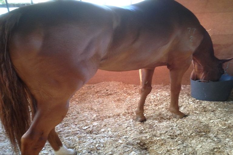 Photo of property in 123 Colville Road, Dargaville, 0377