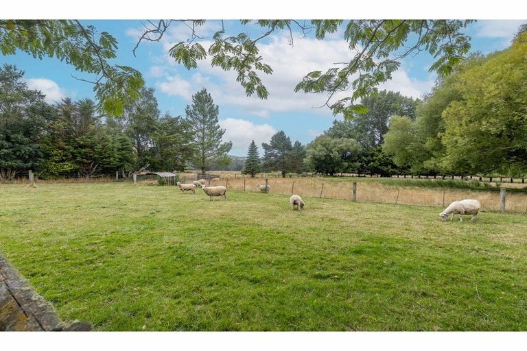 Photo of property in 8 Reeves Street, Cheviot, 7310