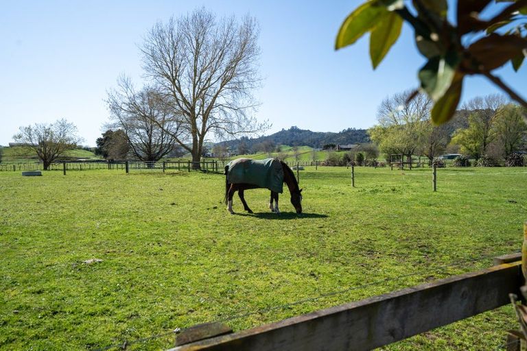 Photo of property in 6/103 Maungakawa Road, Cambridge, 3496