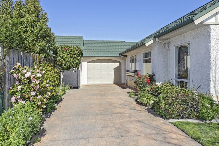 Photo of property in 1b Knightsbridge Place, Taradale, Napier, 4112