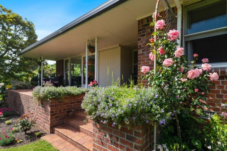 Photo of property in 1 Springfield Road, Springfield, Rotorua, 3015