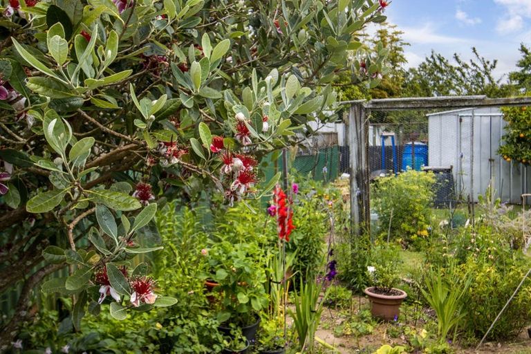 Photo of property in 75 Parry Palm Avenue, Waihi, 3610