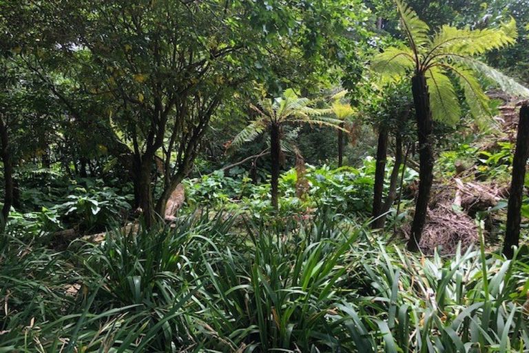 Photo of property in 27 Haswell Street, Eketahuna, 4900