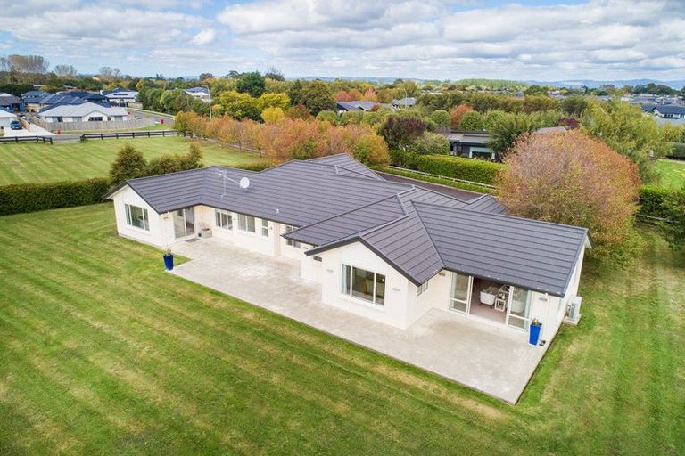 Photo of property in 105 Pharazyn Street, Feilding, 4702