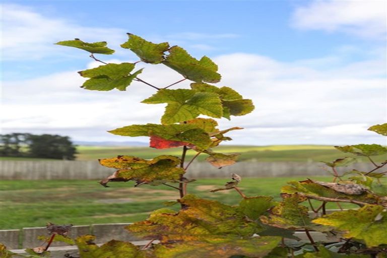 Photo of property in 520 Koheroa Road, Mercer, 2474