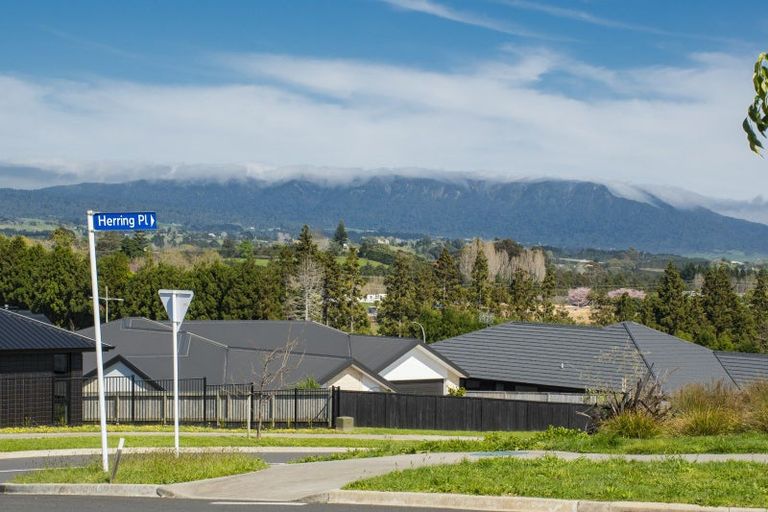 Photo of property in 6 Stingray Drive, Omokoroa, 3114