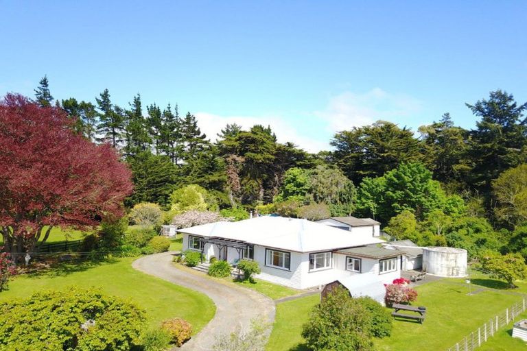Photo of property in 1034 Waitahora Road, Waitahora, Dannevirke, 4971