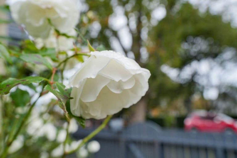 Photo of property in 67 Russel Street, Gladstone, Invercargill, 9810