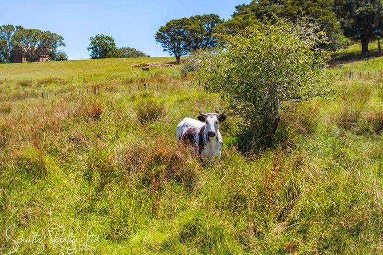 Photo of property in 35 Minnie Casey Rise, Matakohe, 0593