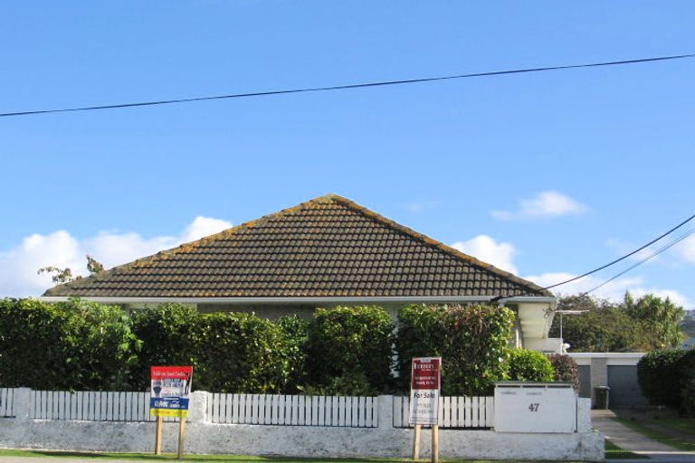 Photo of property in 47 Tennyson Street, Petone, Lower Hutt, 5012