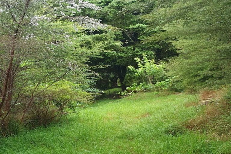 Photo of property in 19 Okura Drive, Kerikeri, 0230