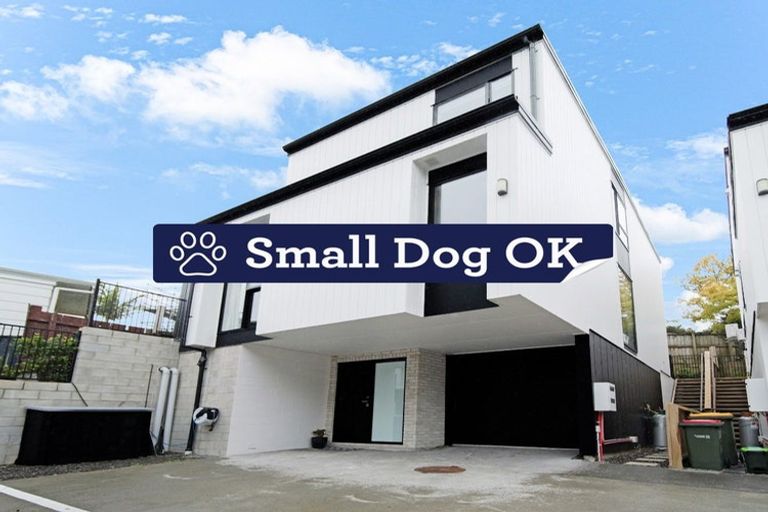 Photo of property in 6d Bacot Place, Howick, Auckland, 2014