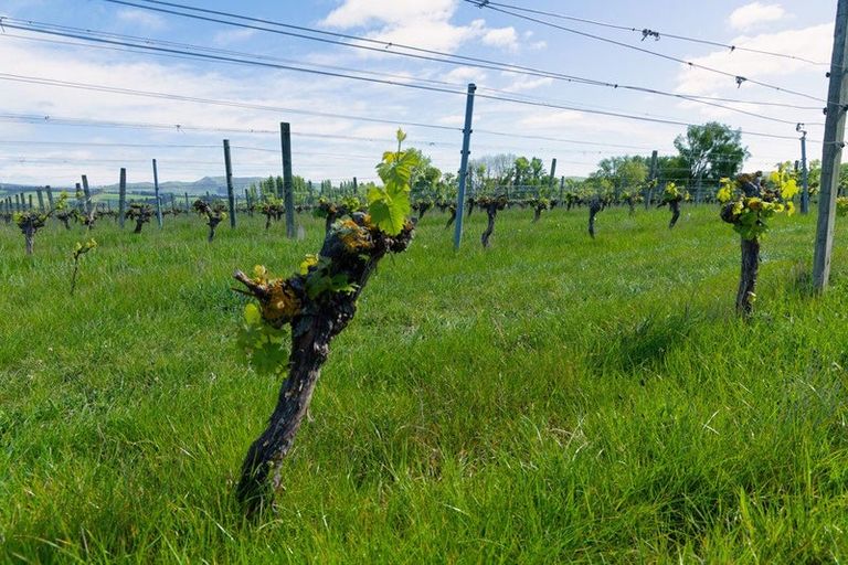 Photo of property in 35 Brighton Street, Island Bay, Wellington, 6023