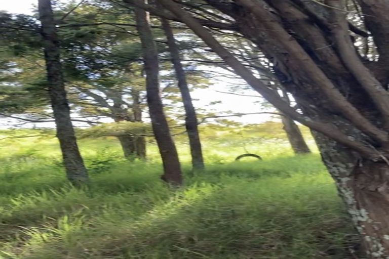 Photo of property in 123 Colville Road, Dargaville, 0377