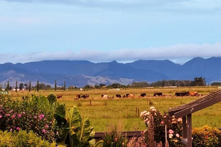 Photo of property in 108 Pipiroa Road, Ngatea, 3503