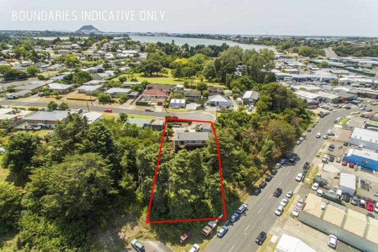 Photo of property in 45 Collingwood Street, Judea, Tauranga, 3110