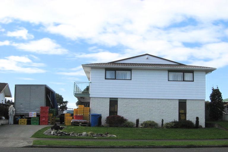 Photo of property in 83 Kennedy Drive, Levin, 5510